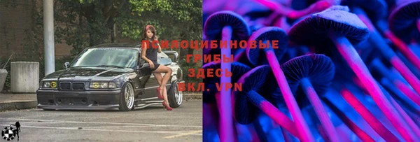 ПСИЛОЦИБИНОВЫЕ ГРИБЫ Магас