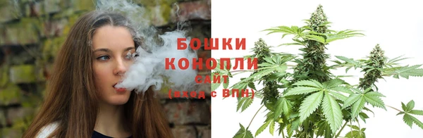 ГАЛЛЮЦИНОГЕННЫЕ ГРИБЫ Майский