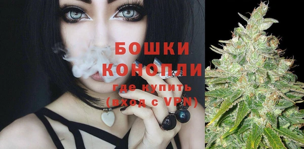 ГАЛЛЮЦИНОГЕННЫЕ ГРИБЫ Майский