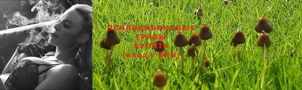 ГАЛЛЮЦИНОГЕННЫЕ ГРИБЫ Майский