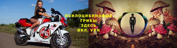 эйфоретик Нефтегорск