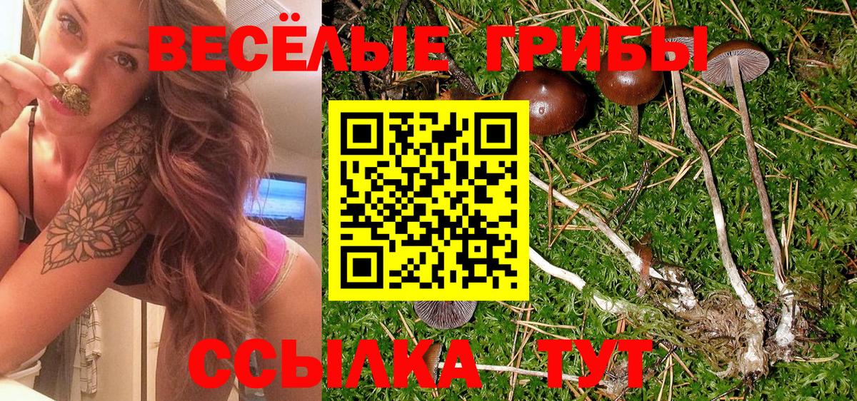 Псилоцибиновые грибы GOLDEN TEACHER  Вход с VPN  Галлюциногенные грибы Psilocybe  продажа наркотиков  Норильск 